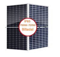 Panel Surya Bifasial Kaca Ganda Tipe-N Jinko 720W Grosir, Modul PV Daya Tinggi IP68