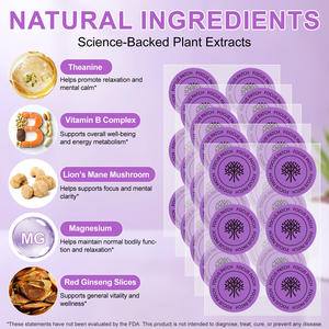 Acentiallabs 30 عدد بقع العافية عبر الجلد دعم التركيز العميق الحفاظ على الوضوح العقلي الفيتامينات ملحق بقع التركيز - Product Image 2