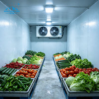 Chambre froide industrielle solaire conteneurisée avec compresseur Sanyo pour le stockage de piments, tomates, laitues, choux, maïs et blé