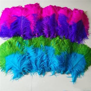 <span class=keywords><strong>Plumas</strong></span> <span class=keywords><strong>de</strong></span> Avestruz <span class=keywords><strong>de</strong></span> Color Bicolor <span class=keywords><strong>con</strong></span> Punta <span class=keywords><strong>de</strong></span> 60-65 cm para Disfraces <span class=keywords><strong>de</strong></span> <span class=keywords><strong>Carnaval</strong></span>, <span class=keywords><strong>Tocados</strong></span>, Mochilas y Decoraciones - Product Image 5