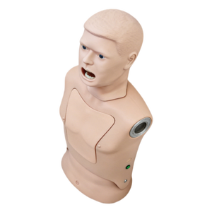 Modèle anatomique avancé en PVC pour écouvillon nasopharyngé, destiné à la formation des étudiants en médecine - Product Image 3