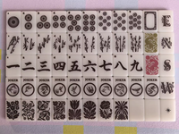 Tuiles de Mahjong américaines Saddlefire en acrylique, jeu portable de 160 pièces, style occidental