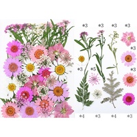 Fleurs pressées et feuilles séchées mélangées pour loisirs créatifs, matériel artisanal pour autocollants DIY et art floral fait main