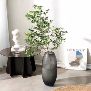 Grand <span class=keywords><strong>vase</strong></span> <span class=keywords><strong>en</strong></span> verre Bodhi sur pied pour culture hydroponique <span class=keywords><strong>de</strong></span> <span class=keywords><strong>bambou</strong></span> porte-bonheur et Pieris japonica, idéal pour l'aménagement floral séché dans le salon ou sur le bureau. - Product Image 1