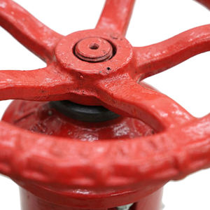 Wall Indicator <strong>Post</strong> (WP), UL/FM Approved - Product Image 4