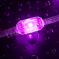 Guirlandes lumineuses LED pour décorations de mariage et de Noël, design de matrice de pixels RGB, guirlande lumineuse LED à rideau, 12 V CC