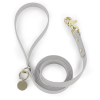 Accessoires pour animaux de compagnie, laisse pour chien, design personnalisé, sangle en PVC multicolores, vente en gros, laisse et collier pour chien imperméables