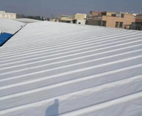 WENRUN Rouleau d'étanchéité moderne en HDPE de 1,5 mm auto-adhésif, résistant aux UV, pour toitures et murs, non-asphalte, pour bassins pré-émaillés et zones humides