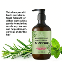 Huile capillaire à base de romarin personnalisable avec fonction anti-chute de cheveux, formule concentrée pour usage domestique