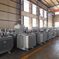 Transformateur de distribution immergé dans l'huile S11-M 33kV 35kV vers 0.4kV, triphasé, réservoir scellé, IEC 60076