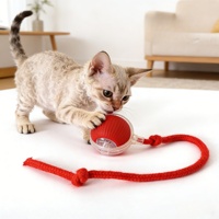 Intelligentes Haustier-Spielzeug 360 °   Automatischer Interaktiver Hunde-Smartball mit Seil Interaktives Katzenspielzeug USB-Ladegerät Rollender Ball für Katzen