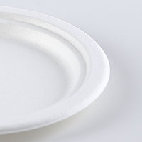 Assiette jetable écologique Matériau de bagasse Assiette à déjeuner Respectueux de l'environnement pour le marché des Émirats arabes unis