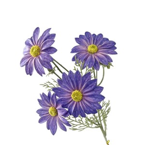 Fleur de marguerite artificielle 62 cm de haut, fleur en soie simulée, branche unique pour décoration de mariage et de maison - Product Image 2