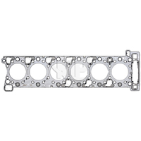 3600160520 Joint de culasse de pièces de moteur de haute qualité adapté pour Mercedes Benz OM360