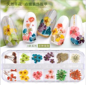 Autocollants professionnels fleurs séchées de bonne qualité, étiquette 3D, naturels, pour <span class=keywords><strong>Nail</strong></span> <span class=keywords><strong>art</strong></span>, 1 pièce - Product Image 5