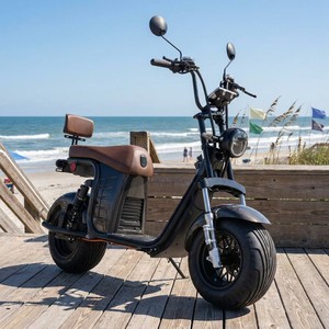 Scooter de 2 Ruedas, Llantas Anchas de 10 Pulgadas, Motor sin Escobillas de 1000w/2000w, Suspensión Completa, Impermeable, Aluminio, 200kg, 20ah X26, Precio - Product Image 1