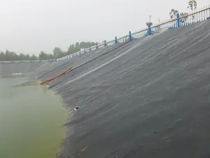 0.5mm 1mm 1.5mm Plastic Waterproof Geomembrane Aquaculture Fish Farm Pond Liners HDPE Price