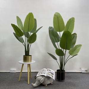 Fabricant de <span class=keywords><strong>plantes</strong></span> artificielles, vente chaude de bonsaï, décorations bon marché, ventes <span class=keywords><strong>en</strong></span> <span class=keywords><strong>ligne</strong></span>, <span class=keywords><strong>plantes</strong></span> <span class=keywords><strong>en</strong></span> plastique modernes de couleur verte pour l'intérieur et l'extérieur - Product Image 3