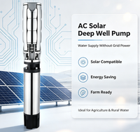 Pompe solaire submersible AC à grand débit de 10 pouces pour puits profond, pompe solaire industrielle pour forage, pour l'approvisionnement en eau des zones éloignées