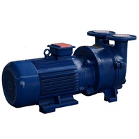 Pompe à vide à anneau d'eau, série 2BV 4kw 5.5kw 7.5kw