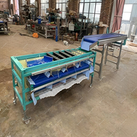 Automatische Maat Sortering Transportband Fruit Grader Orbitale Grootte Nion Sorteerder Machine Aardappel Sorteermachine Bosbessen Sorteermachine
