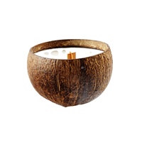 Bougies de soja de bols de noix de coco avec des bois de fissure pour la décoration de la maison pour la Saint-Valentin