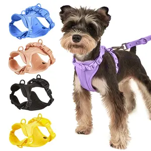 多种尺寸Xs/S/M/L轻质宠物狗安全带，带可调节柔软衬垫，透气层彩色项圈