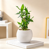 Grand pot à fleurs Yicai pour sol, écologique, durable, design moderne, pot en plastique imitation céramique créatif pour la maison et le jardin
