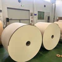 Ventail de gobelet en papier vierge simple ou double PE 180gsm 230gsm 250gsm pour la fabrication de gobelets en papier