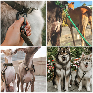 Fermaglio girevole 4KN per guinzaglio per cani, gancio a scatto Anti-torsione per Auto in lega di alluminio per guinzaglio per animali domestici - Product Image 6