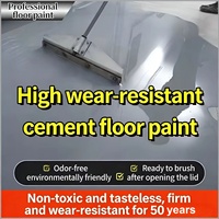 Peinture liquide Wufushan pour sols en ciment intérieurs – Rénovation de haute qualité, protection environnementale, résistante à l'usure