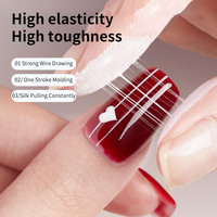RS Nail 5g Gel Araignée Semi-Permanent Haute Résistance, Non Cassable, pour Dessin Floral et Peinture, OEM ODM, Vernis Gel Araignée UV
