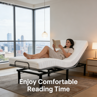 Lit inclinable réglable en fer pour soulager les douleurs dorsales, avec télécommande sans fil, réglage tête 60°/jambe 30°, moderne, pour chambre et école