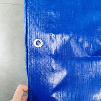 Bâche en PE 100% imperméable de haute qualité pour camion, couvre-toit, couvre-charge, bâche durable très vendue