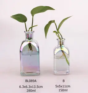 现代定制透明离子镀玻璃花瓶香水香水瓶玻璃芽瓶家居婚庆装饰花瓶