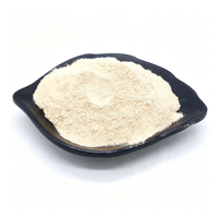 Complément alimentaire en poudre de psyllium 99% extrait de coque de graines de psyllium qualité alimentaire 1kg