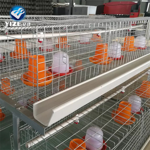 Gà đẻ trứng Lồng/tre gà <span class=keywords><strong>Coop</strong></span> Chick lồng - Product Image 6