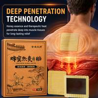 Patchs de moxibustion au miel aux herbes chinoises pour l'arthrite, la sciatique et les blessures sportives