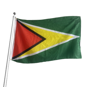 Bandera Deportiva Personalizada de Fábrica de 3x5 pies para los Detroit Lions, 100% Poliéster, Impresión Digital en Aluminio, Bandera de Cuerda - Product Image 2