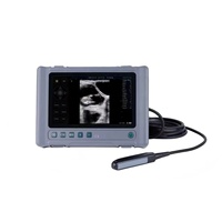 Échographe vétérinaire pour bovins, ovins et équidés, avec sonde linéaire rectale pour l'échographie abdominale et l'évaluation de la graisse dorsale
