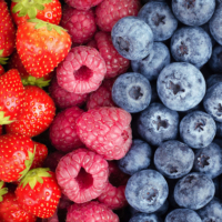 Groothandel Premium 4-Bessen Frozen Mix IQF Aardbei Blauwe Bes Framboos voor Yoghurtbakjes