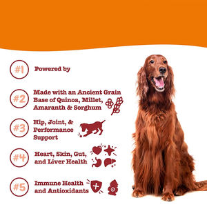 Kapsul Multivitamin Anjing Senior, Suplemen Anjing Organik Tinggi Protein, Pendukung Imunitas, Minyak Ikan Omega 3, Sendi Pinggul, Kulit & Bulu - Product Image 2