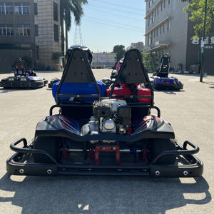 <span class=keywords><strong>200cc</strong></span> 2인승 상업용 휘발유 고카트 성인용 4행정 드리프트 카트 가솔린 고성능 후방 유압 디스크 브레이크 - Product Image 6