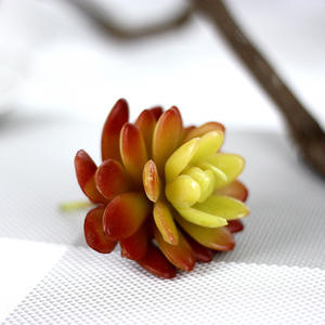 2024 10cm Planta artificial <span class=keywords><strong>Echeveria</strong></span> Lenore Dean interior suculenta - Product Image 2