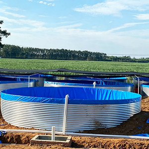 Équipement d'aquaculture <span class=keywords><strong>pour</strong></span> l'élevage <span class=keywords><strong>de</strong></span> tilapias en bassins, destiné aux entrepreneurs <span class=keywords><strong>de</strong></span> projets gouvernementaux <span class=keywords><strong>de</strong></span> fermes piscicoles - Product Image 2