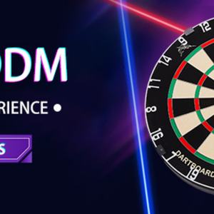 Fléchettes populaires et durables avec revêtement PVD - Cibles de fléchettes à poils Cible de fléchettes à lames pour les séances d'entraînement - Product Image 6