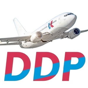 Ddp Express không khí vận chuyển hàng hóa giao nhận <span class=keywords><strong>d</strong></span>ịch vụ từ Trung Quốc đến mỹ đảo quốc gia FCL hậu cần biển <span class=keywords><strong>d</strong></span>ịch vụ vận chuyển - Product Image 2