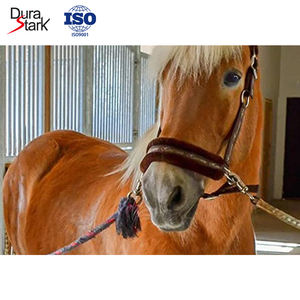 Paniekgesp van smeedijzer, gesmeed snelkoppeling voor paardentuig en noodontgrendeling - Product Image 2