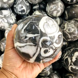 Sfera di cristallo di diaspro conchiglia lucidata a mille <span class=keywords><strong>occhi</strong></span> naturali affascinanti <span class=keywords><strong>per</strong></span> la decorazione - Product Image 4