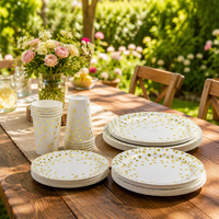 Ensemble d'assiettes en papier pour la décoration de fête